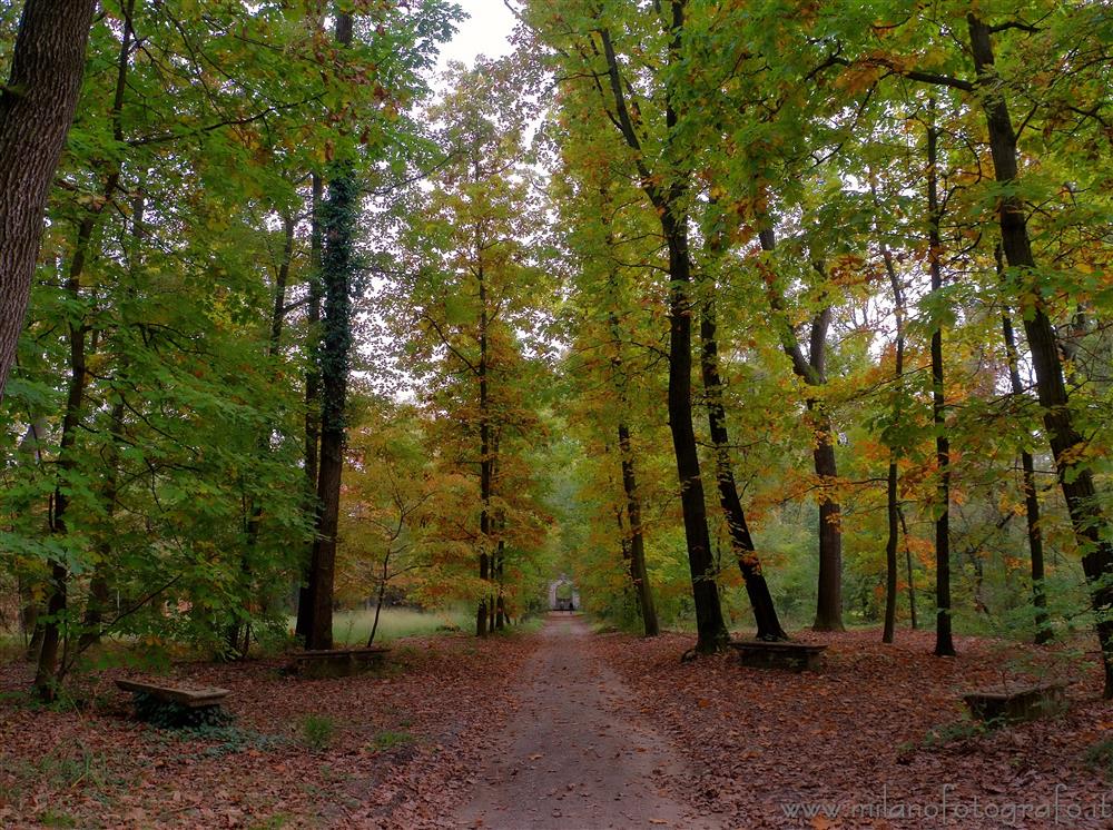 Bollate (Milan, Italy) - Autumn in the park of Villa Arconati